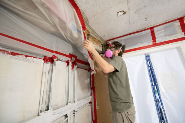 Best HVAC Mold Inspection and Cleaning  in Turnersville, NJ